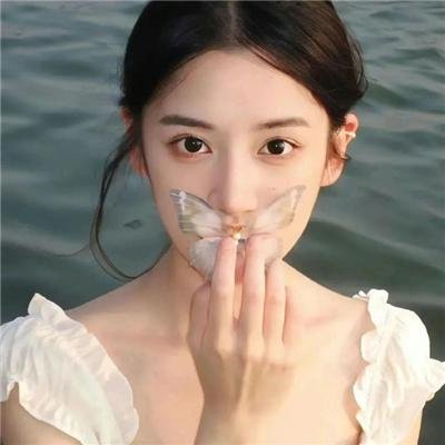 在森林的那边